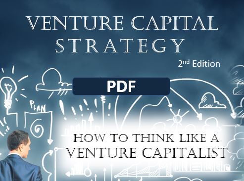 VC Strategy PDF – Venture Capital Strategy